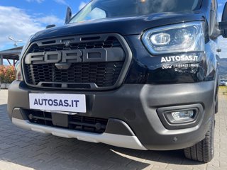 FORD Transit 350 2.0 tdci MHEV 130cv trail L2H2 E6.2