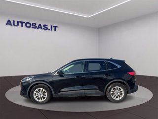 FORD Kuga 1.5 EcoBlue 120 CV aut. 2WD Titanium X