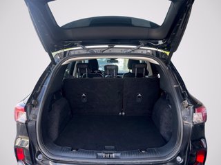 FORD Kuga 1.5 EcoBlue 120 CV aut. 2WD Titanium X