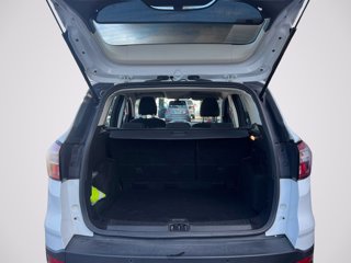 FORD Kuga 1.5 TDCI 120 CV S&S 2WD Business