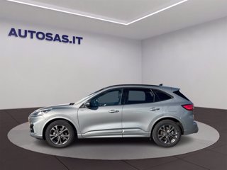 FORD Kuga 1.5 EcoBoost 150 CV 2WD ST-Line