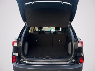 FORD Kuga 2.5 Full Hybrid 190 CV CVT 2WD Connect