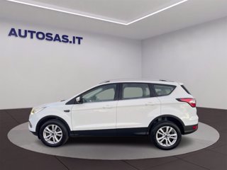 FORD Kuga 1.5 TDCI 120 CV S&S 2WD Business