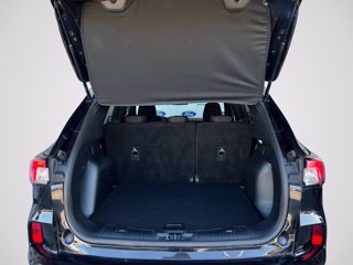 FORD Kuga 1.5 EcoBlue 120 CV aut. 2WD ST-Line