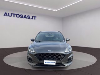 FORD Kuga 1.5 EcoBoost 150 CV 2WD ST-Line