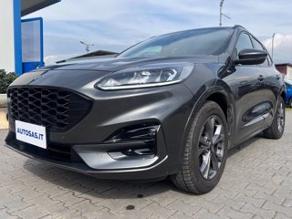 FORD Kuga 1.5 EcoBoost 150 CV 2WD ST-Line