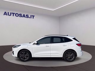 FORD Kuga 2.5 Plug In Hybrid 225 CV CVT 2WD ST-Line X