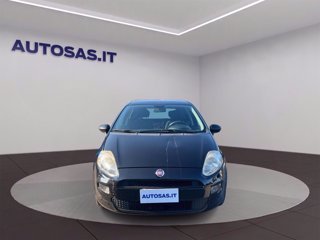 FIAT Punto 1.2 8V 5 porte Street