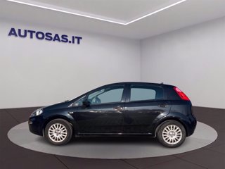 FIAT Punto 1.2 8V 5 porte Street