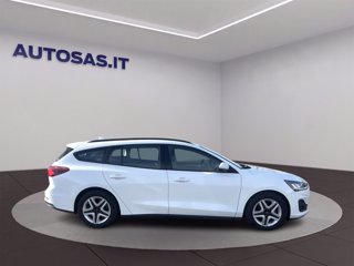 FORD Focus 1.5 EcoBlue 120 CV automatico SW Business