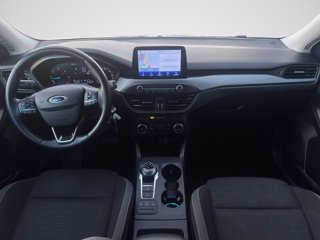 FORD Focus 1.5 EcoBlue 120 CV automatico SW Business