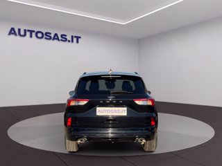 FORD Kuga 2.0 EcoBlue 120 CV aut. 2WD ST-Line