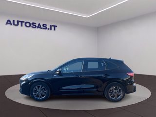 FORD Kuga 2.0 EcoBlue 120 CV aut. 2WD ST-Line