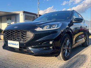 FORD Kuga 2.0 EcoBlue 120 CV aut. 2WD ST-Line