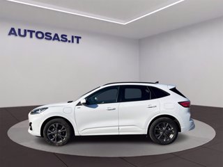 FORD Kuga 2.5 Plug In Hybrid 225 CV CVT 2WD ST-Line X