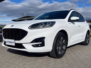 FORD Kuga 2.5 phev ST-Line X 2wd 225cv cvt