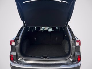 FORD Kuga 2.5 Plug In Hybrid 225 CV CVT 2WD ST-Line X