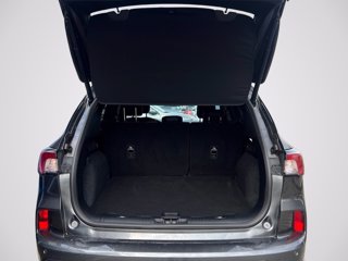 FORD Kuga 2.5 Plug In Hybrid 225 CV CVT 2WD ST-Line X