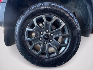 FORD Ranger 2.0 EcoBlue aut. 205 CV DC Wildtrak 5 posti