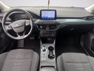 FORD Focus 1.5 EcoBlue 120 CV automatico 5p. Active Co-Pilot