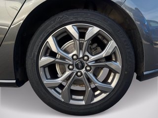 FORD Focus 1.5 EcoBlue 120 CV automatico 5p. ST-Line