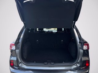 FORD Kuga 2.5 Plug In Hybrid 225 CV CVT 2WD ST-Line X