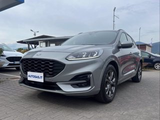 FORD Kuga 1.5 EcoBoost 150 CV 2WD ST-Line