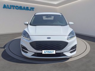 FORD Kuga 1.5 EcoBlue 120 CV aut. 2WD ST-Line
