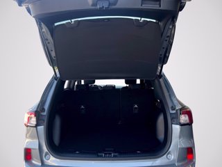 FORD Kuga 1.5 EcoBoost 150 CV 2WD ST-Line