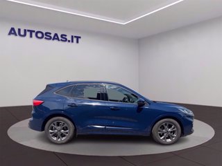 FORD Kuga 2.0 EcoBlue 120 CV aut. 2WD ST-Line