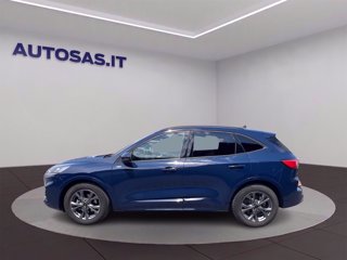 FORD Kuga 2.0 EcoBlue 120 CV aut. 2WD ST-Line