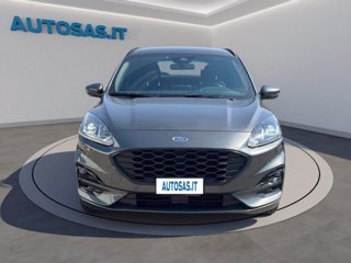 FORD Kuga 1.5 EcoBlue 120 CV 2WD ST-Line