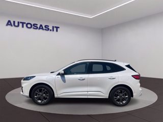 FORD Kuga 2.5 Plug In Hybrid 225 CV CVT 2WD ST-Line X