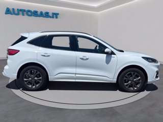 FORD Kuga 2.5 Plug In Hybrid 225 CV CVT 2WD ST-Line