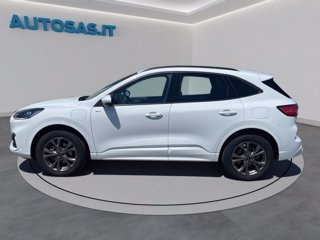 FORD Kuga 2.5 Plug In Hybrid 225 CV CVT 2WD ST-Line