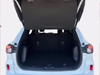 FORD Kuga 2.5 Plug In Hybrid 225 CV CVT 2WD ST-Line