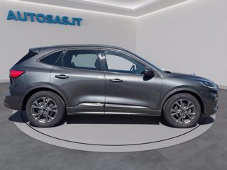 FORD Kuga 1.5 EcoBoost 150 CV 2WD ST-Line