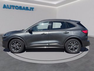FORD Kuga 1.5 EcoBoost 150 CV 2WD ST-Line