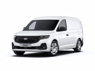 FORD Transit Connect Van Trend 2.0 EcoBlue 102cv PL