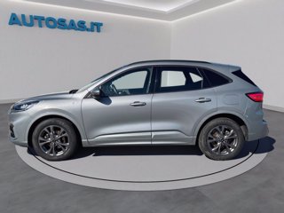 FORD Kuga 2.5 Full Hybrid 190 CV CVT 2WD ST-Line