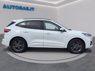 FORD Kuga 2.5 Plug In Hybrid 225 CV CVT 2WD ST-Line