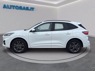 FORD Kuga 2.5 Plug In Hybrid 225 CV CVT 2WD ST-Line