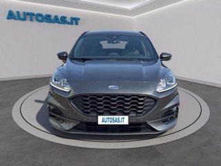 FORD Kuga 1.5 EcoBlue 120 CV 2WD ST-Line