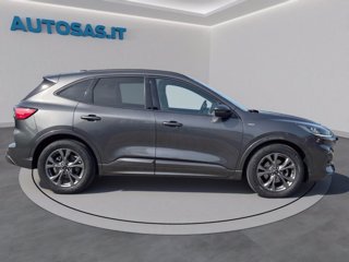 FORD Kuga 1.5 EcoBlue 120 CV 2WD ST-Line