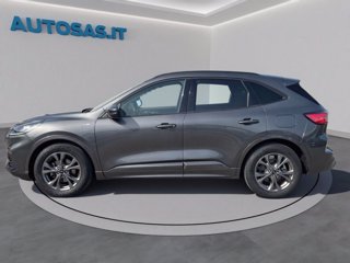 FORD Kuga 1.5 EcoBlue 120 CV 2WD ST-Line