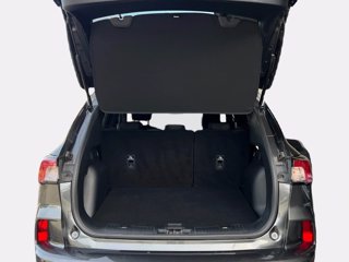 FORD Kuga 1.5 EcoBlue 120 CV 2WD ST-Line